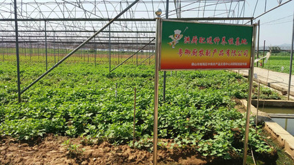 佛山洪厨 工厂食堂 団膳服务生鲜食材、新鲜肉类、水产类、蔬菜、水果、粮油、干货、酱料为主导专业配送