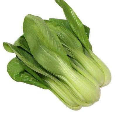 嘉兴海宁工厂蔬菜配送一站式服务