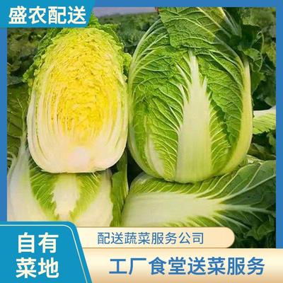 东莞蔬菜配送服务