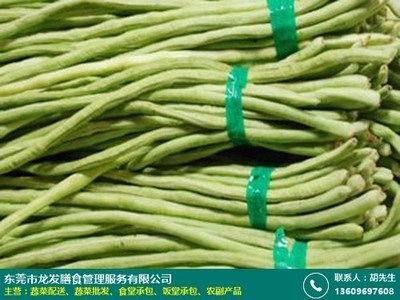 生鲜蔬菜配送方案_龙发膳食_食堂_酒楼_工厂食堂_长期_农场