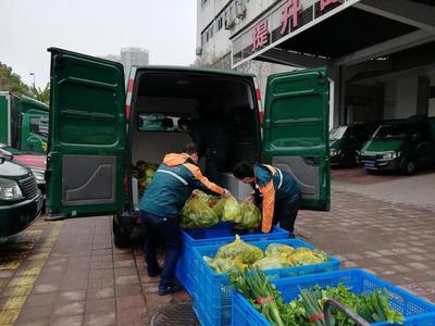 萧山邮政实行专车、专人配送,大家足不出户就能吃到新鲜蔬菜