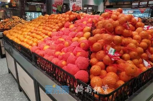 济南寒潮雪飘, 菜篮子 照样拎得稳 日均进场2800吨,200多种蔬菜供应充足