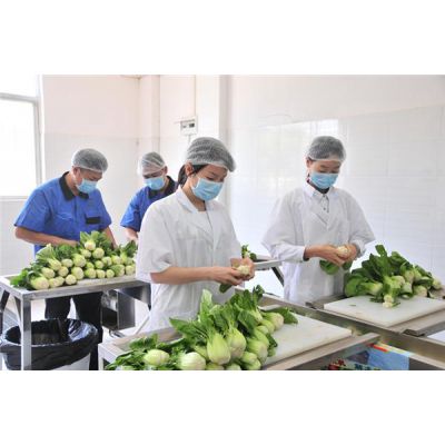 南山食堂蔬菜配送公司批发价格食堂送菜上门服务