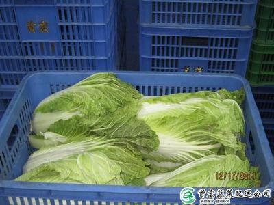 肉类配送公司