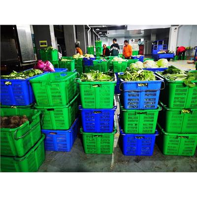 东莞厚街蔬菜配送公司|厚街蔬菜批发公司|厚街送菜服务公司