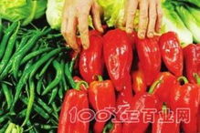 0525 东坑大朗蔬菜配送公司,东莞横沥农产品配送,东莞黄江食堂送菜 
