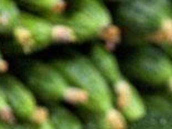 图 深圳蔬菜配送 农产品配送 深圳蔬菜批发中心 深圳生活配送
