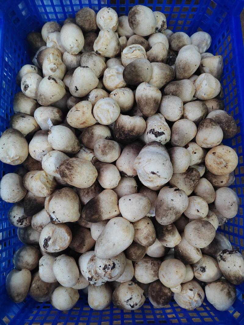 蔬菜粮油批发配送.#上热门话题 #食材配送 #每