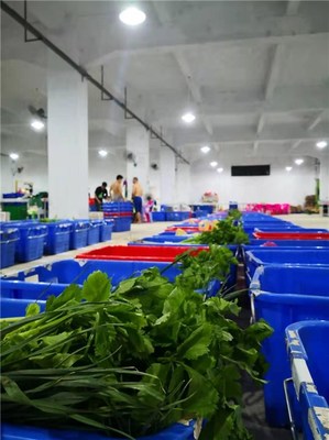 蔬菜配送公司