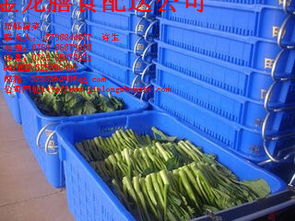 东莞市宛城区罗沙蔬菜配送学校工厂单位食堂蔬菜配送中心